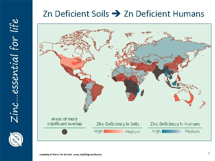 Zinc…essential for life Zn Deficient Soils Zn Deficient Humans Courtesy of Roots For Growth. Zinc…essential for life Zn Deficient Soils Zn Deficient Humans Courtesy of Roots For Growth.
