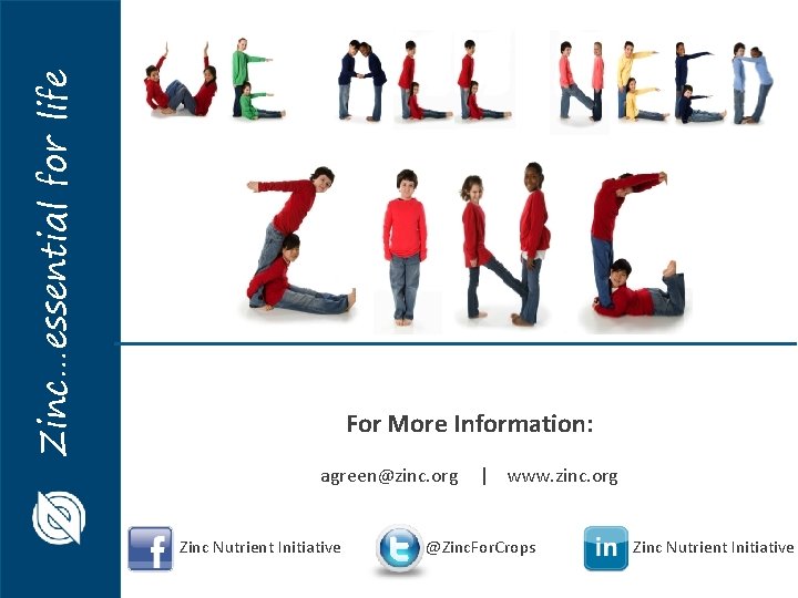 Zinc…essential for life For More Information: agreen@zinc. org Zinc Nutrient Initiative | www. zinc.