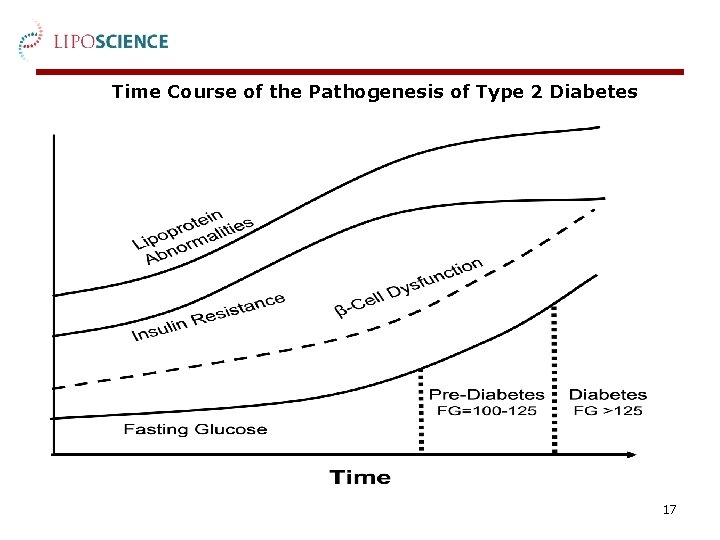 Time Course of the Pathogenesis of Type 2 Diabetes 17 