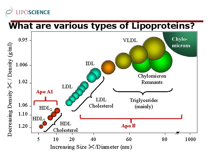 Decreasing Density / Density (g/ml) What are various types of Lipoproteins? 0. 95 VLDL