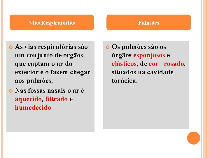 Vias Respiratórias As vias respiratórias são um conjunto de órgãos que captam o ar