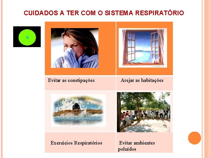 CUIDADOS A TER COM O SISTEMA RESPIRATÓRIO Evitar as constipações Exercícios Respiratórios Arejar as