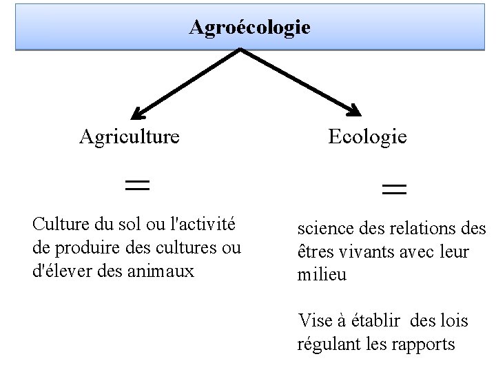 Agroécologie Agriculture Ecologie = Culture du sol ou l'activité de produire des cultures ou