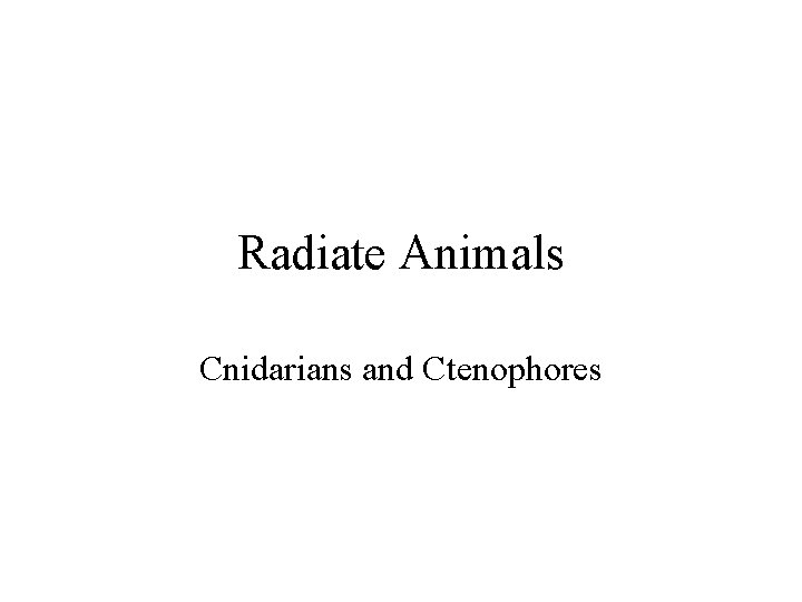 Radiate Animals Cnidarians and Ctenophores 
