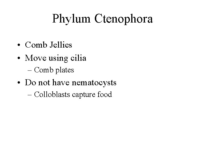 Phylum Ctenophora • Comb Jellies • Move using cilia – Comb plates • Do