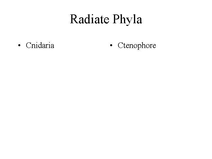 Radiate Phyla • Cnidaria • Ctenophore 