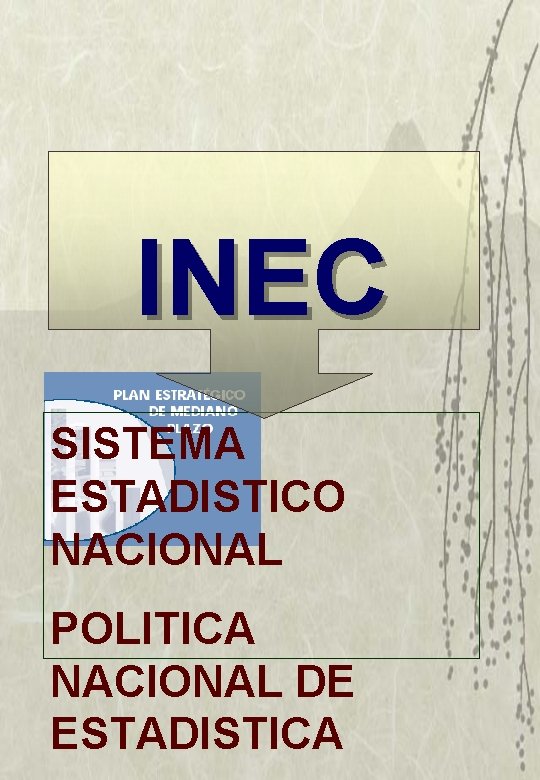 INEC SISTEMA ESTADISTICO NACIONAL POLITICA NACIONAL DE ESTADISTICA 