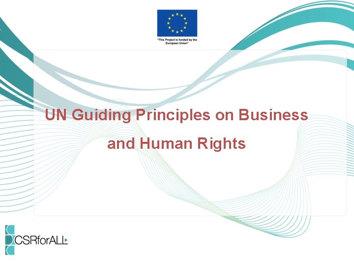 UN Guiding Principles on Business and Human Rights 
