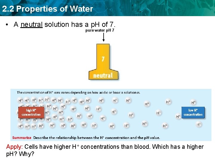 2. 2 Properties of Water • A neutral solution has a p. H of