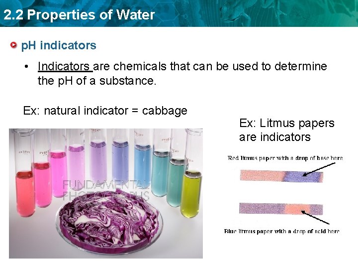 2. 2 Properties of Water p. H indicators • Indicators are chemicals that can