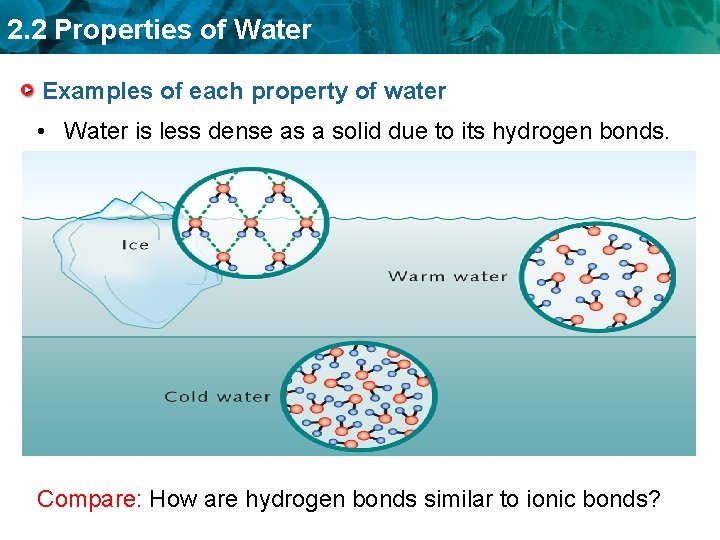 2. 2 Properties of Water Examples of each property of water • Water is