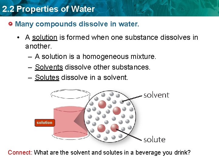 2. 2 Properties of Water Many compounds dissolve in water. • A solution is