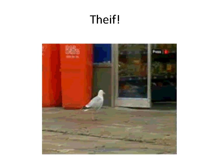 Theif! 