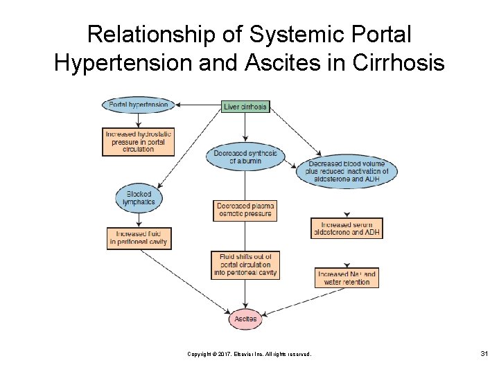 Relationship of Systemic Portal Hypertension and Ascites in Cirrhosis Copyright © 2017, Elsevier Inc.