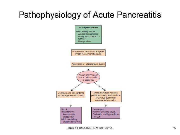 Pathophysiology of Acute Pancreatitis Copyright © 2017, Elsevier Inc. All rights reserved. 40 