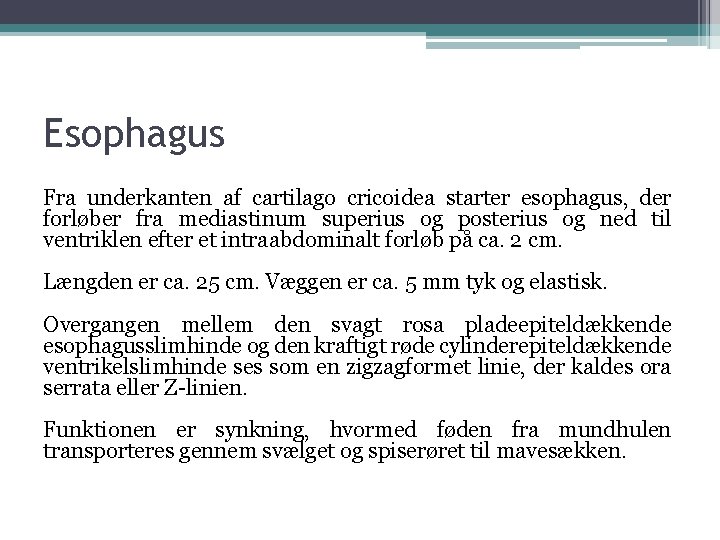 Esophagus Fra underkanten af cartilago cricoidea starter esophagus, der forløber fra mediastinum superius og