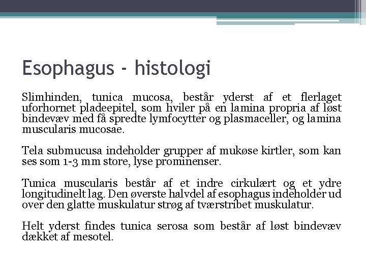 Esophagus - histologi Slimhinden, tunica mucosa, består yderst af et flerlaget uforhornet pladeepitel, som