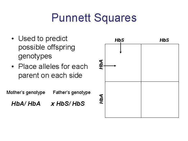 Punnett Squares Mother’s genotype Hb. A/ Hb. A Father’s genotype x Hb. S/ Hb.