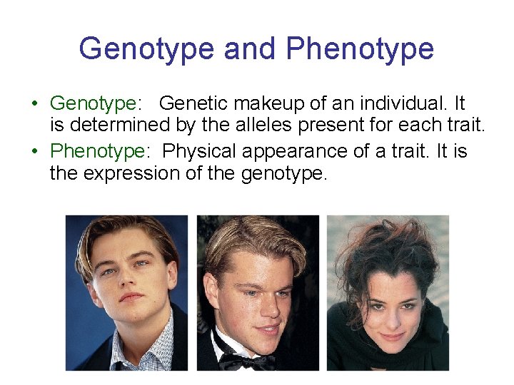 Genotype and Phenotype • Genotype: Genetic makeup of an individual. It is determined by
