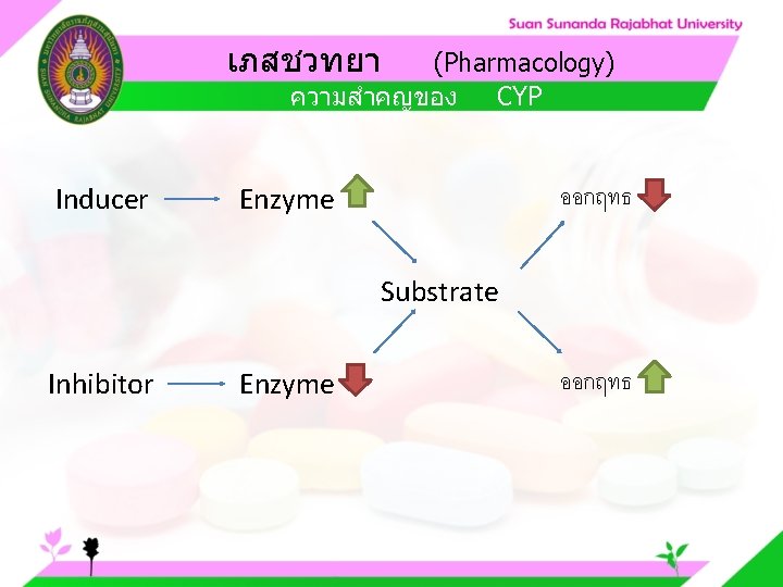 เภสชวทยา (Pharmacology) ความสำคญของ CYP Inducer ออกฤทธ Enzyme Substrate Inhibitor Enzyme ออกฤทธ 