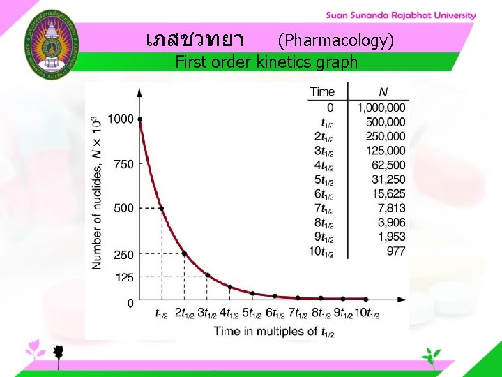 เภสชวทยา (Pharmacology) First order kinetics graph 