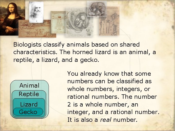 Biologists classify animals based on shared characteristics. The horned lizard is an animal, a