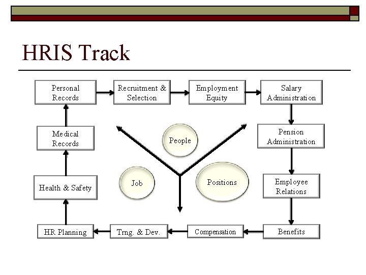 HRIS Track Personal Records Recruitment & Selection Medical Records Health & Safety HR Planning