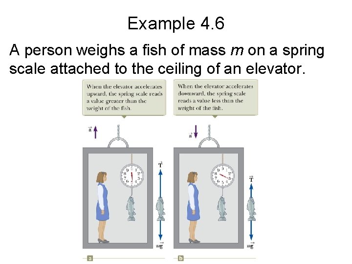 Example 4. 6 A person weighs a fish of mass m on a spring