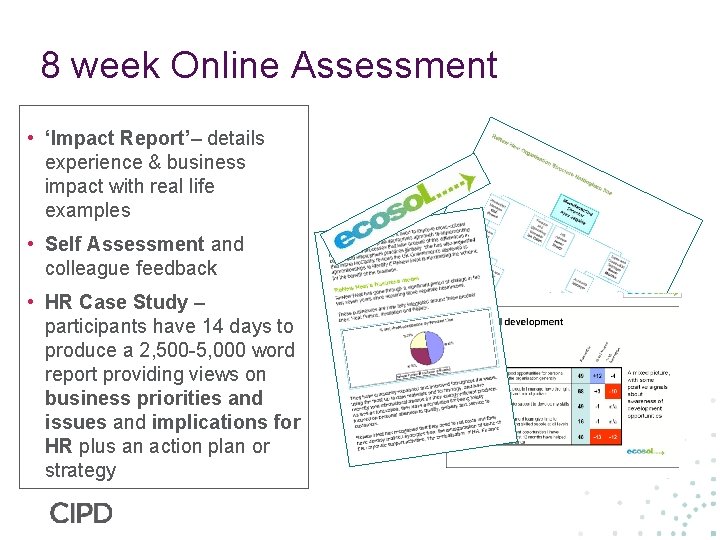 8 week Online Assessment • ‘Impact Report’– details experience & business impact with real