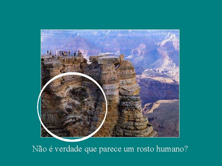 Não é verdade que parece um rosto humano? 