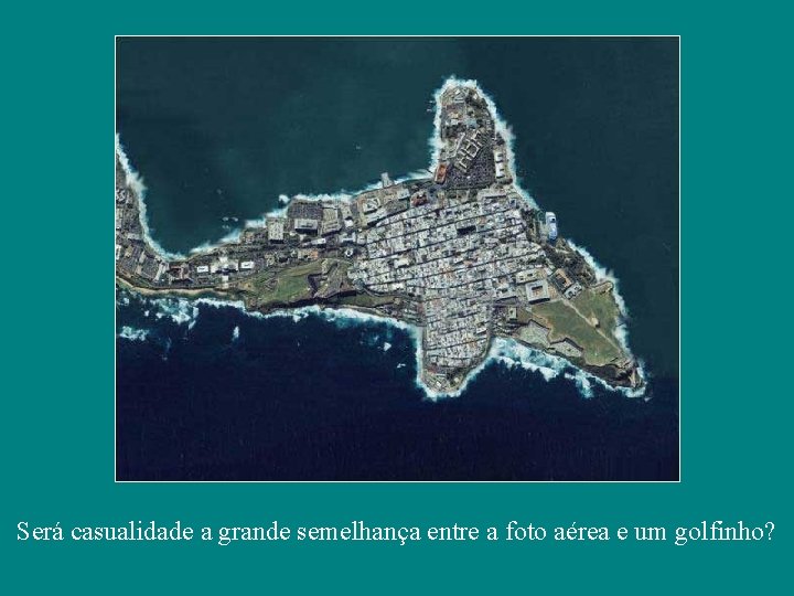 Será casualidade a grande semelhança entre a foto aérea e um golfinho? 