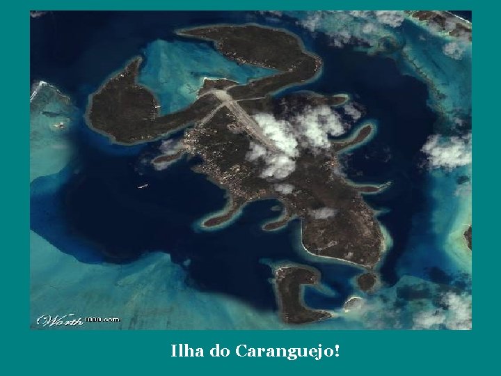 Ilha do Caranguejo! 