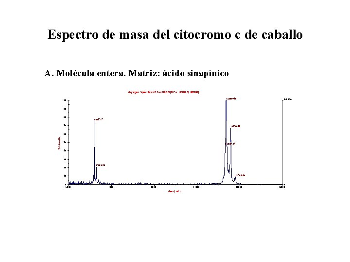 Espectro de masa del citocromo c de caballo A. Molécula entera. Matriz: ácido sinapínico