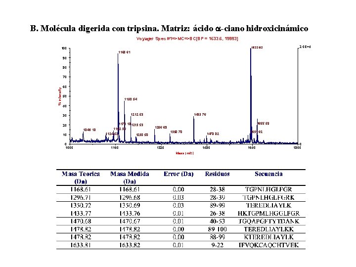 B. Molécula digerida con tripsina. Matriz: ácido -ciano hidroxicinámico Voyager Spec #1=>MC=>BC[BP = 1633.