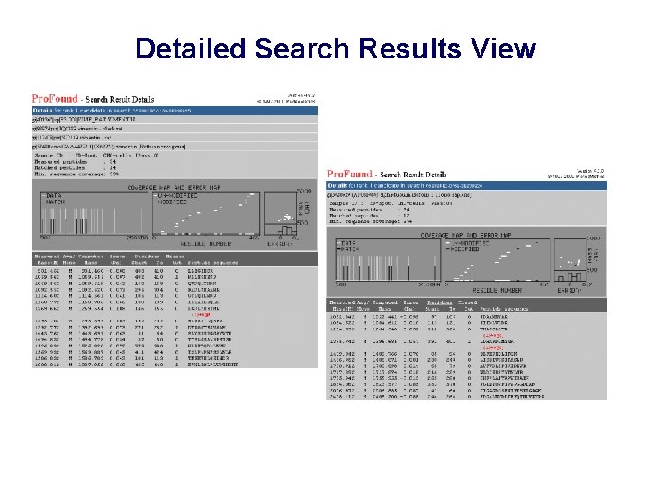 Detailed Search Results View 