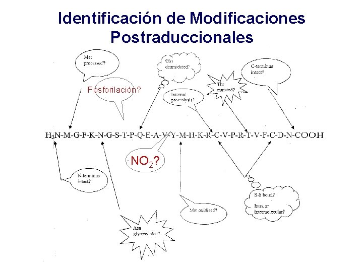 Identificación de Modificaciones Postraduccionales Fosforilación? NO 2? 