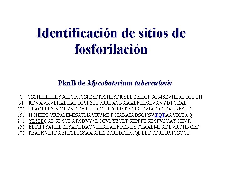 Identificación de sitios de fosforilación Pkn. B de Mycobaterium tuberculosis 1 51 101 151
