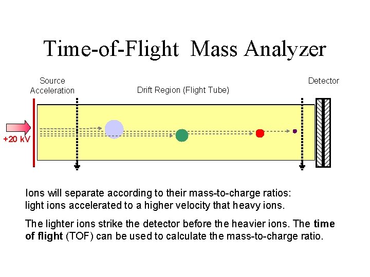 Time-of-Flight Mass Analyzer Source Acceleration Detector Drift Region (Flight Tube) +20 k. V Ions