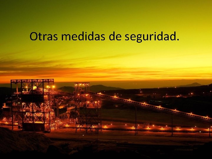 Otras medidas de seguridad. 