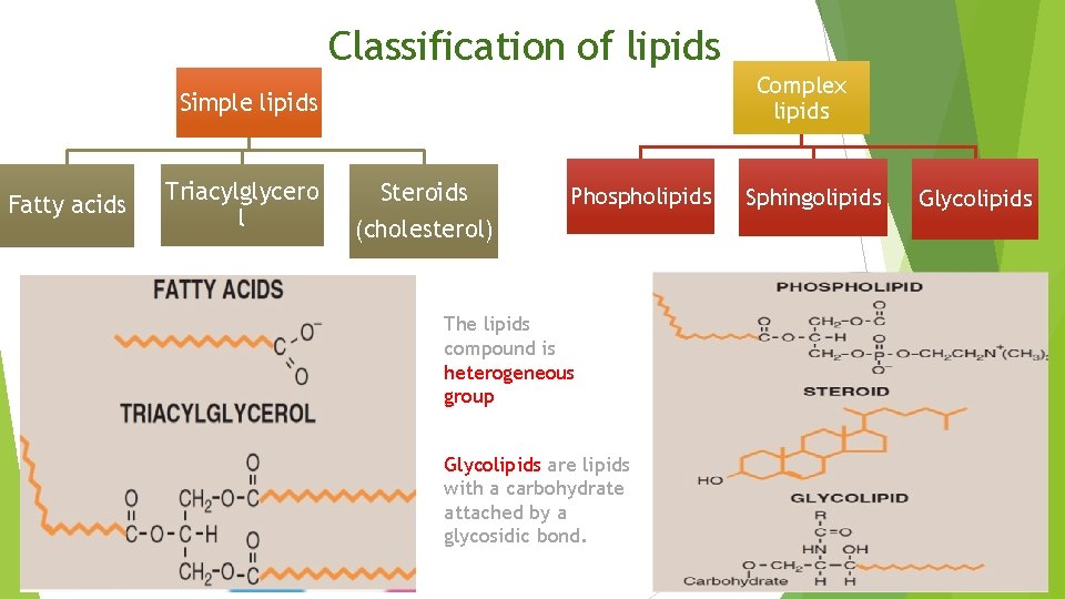 Classification of lipids Complex lipids Simple lipids Fatty acids Triacylglycero l Steroids (cholesterol) Phospholipids