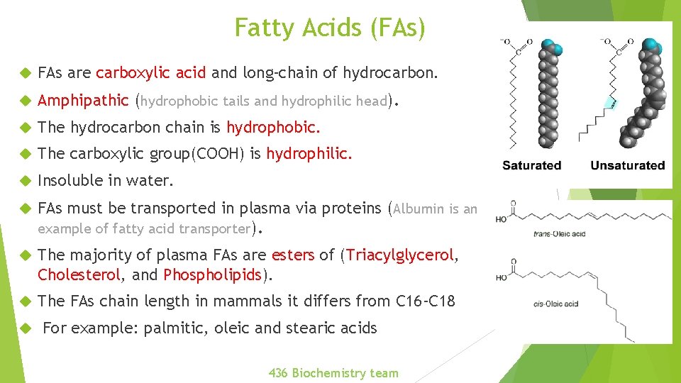 Fatty Acids (FAs) FAs are carboxylic acid and long-chain of hydrocarbon. Amphipathic (hydrophobic tails