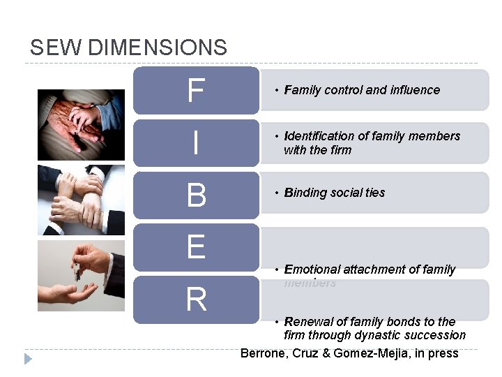 SEW DIMENSIONS F I B E R • Family control and influence • Identification