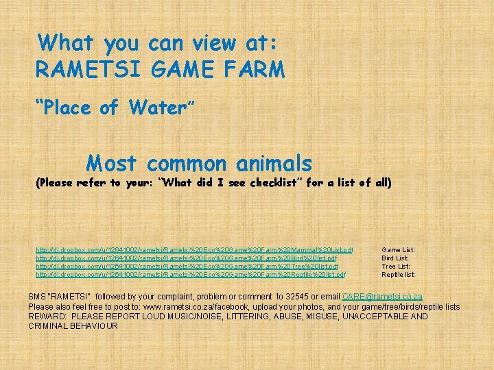 What you can view at: RAMETSI GAME FARM “Place of Water” Most common animals What you can view at: RAMETSI GAME FARM “Place of Water” Most common animals