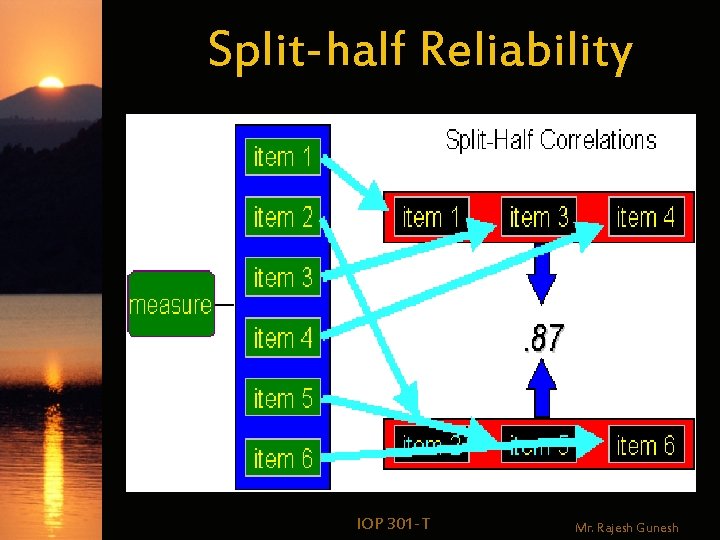 Split-half Reliability IOP 301 -T Mr. Rajesh Gunesh 