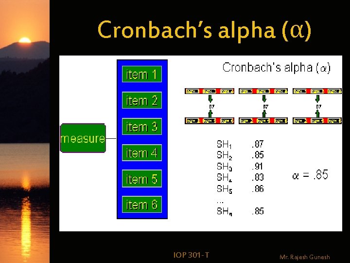 Cronbach’s alpha (α) IOP 301 -T Mr. Rajesh Gunesh 