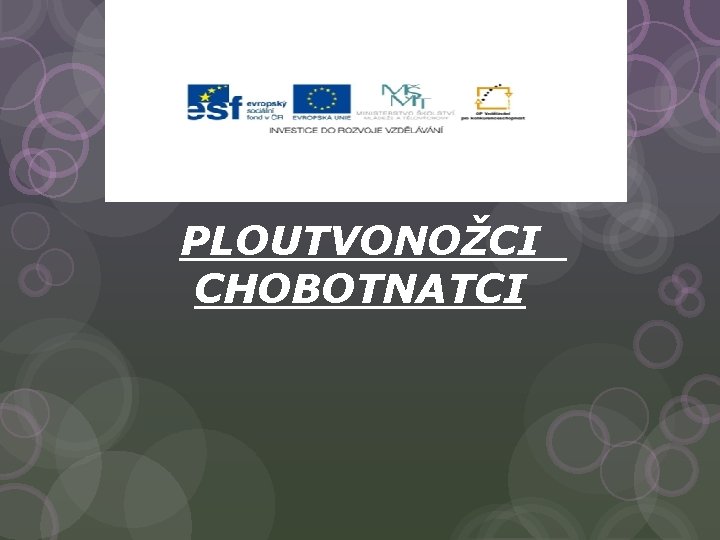 PLOUTVONOŽCI CHOBOTNATCI 