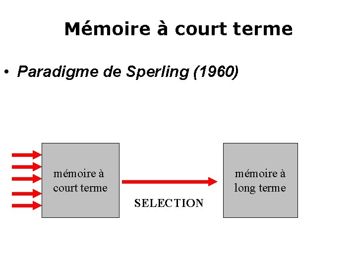 Mémoire à court terme • Paradigme de Sperling (1960) mémoire à court terme mémoire