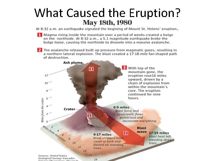 What Caused the Eruption? 