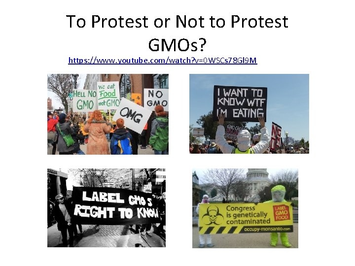 To Protest or Not to Protest GMOs? https: //www. youtube. com/watch? v=0 WSCs 78
