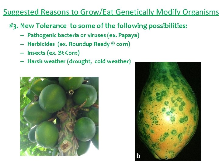 Suggested Reasons to Grow/Eat Genetically Modify Organisms #3. New Tolerance to some of the